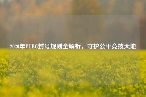 2020年PUBG封号规则全解析,守护公平竞技天地