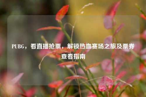 PUBG,看直播抢票,解锁热血赛场之旅及票券查看指南