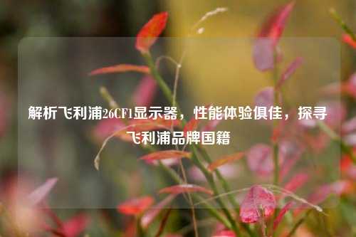 解析飞利浦26CF1显示器,性能体验俱佳,探寻飞利浦品牌国籍
