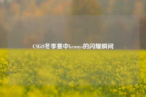 CSGO冬季赛中kennys的闪耀瞬间