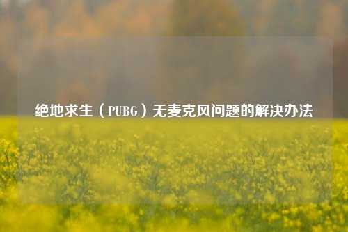 绝地求生(PUBG)无麦克风问题的解决办法