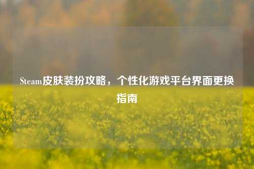 Steam皮肤装扮攻略,个性化游戏平台界面更换指南