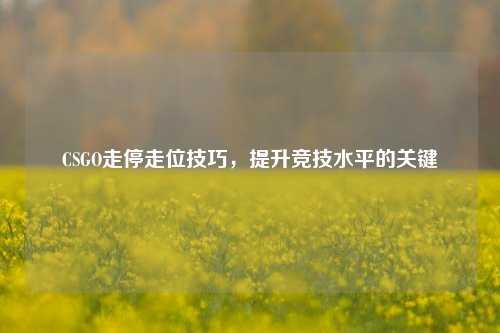 CSGO走停走位技巧,提升竞技水平的关键