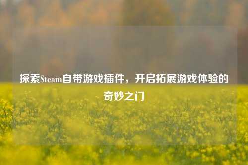 探索Steam自带游戏插件,开启拓展游戏体验的奇妙之门