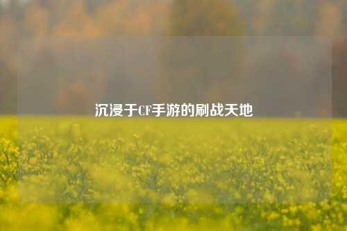 沉浸于CF手游的刷战天地
