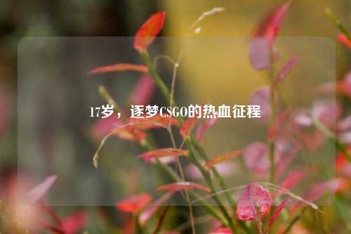 17岁,逐梦CSGO的热血征程