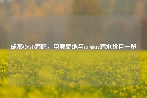 成都CSGO酒吧,电竞聚地与cagoktv酒水价目一览