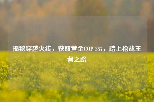 揭秘穿越火线,获取黄金COP 357,踏上枪战王者之路