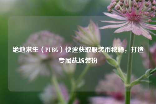 绝地求生(PUBG)快速获取服装币秘籍,打造专属战场装扮
