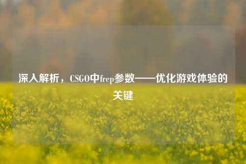 深入解析,CSGO中frep参数——优化游戏体验的关键