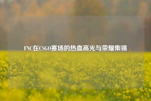 FNC在CSGO赛场的热血高光与荣耀集锦