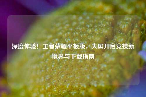 深度体验!王者荣耀平板版,大屏开启竞技新境界与下载指南