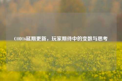 COD16延期更新,玩家期待中的变数与思考