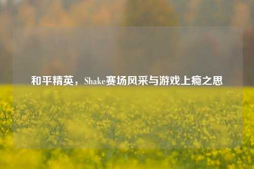 和平精英,Shake赛场风采与游戏上瘾之思