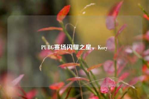 PUBG赛场闪耀之星,Kory
