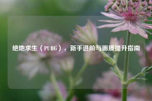 绝地求生(PUBG),新手进阶与画质提升指南
