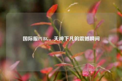 国际服PUBG，天神下凡的震撼瞬间