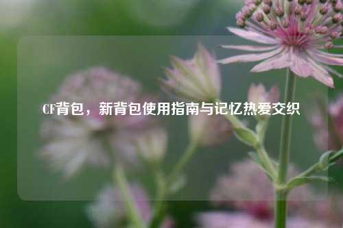 CF背包，新背包使用指南与记忆热爱交织