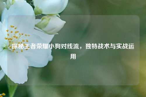 探秘王者荣耀小狗对线流，独特战术与实战运用