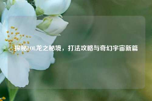 探秘LOL龙之秘境，打法攻略与奇幻宇宙新篇