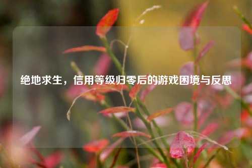 绝地求生，信用等级归零后的游戏困境与反思