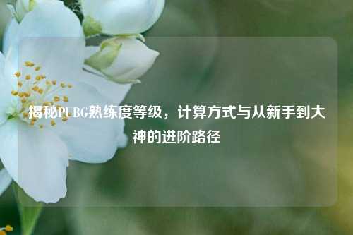 揭秘PUBG熟练度等级,计算方式与从新手到大神的进阶路径