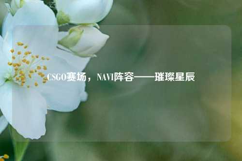CSGO赛场，NAVI阵容——璀璨星辰