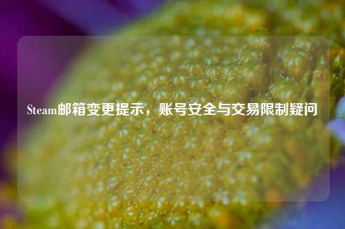 Steam邮箱变更提示,账号安全与交易限制疑问
