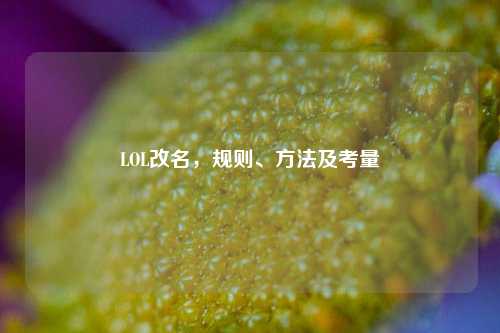 LOL改名，规则、方法及考量