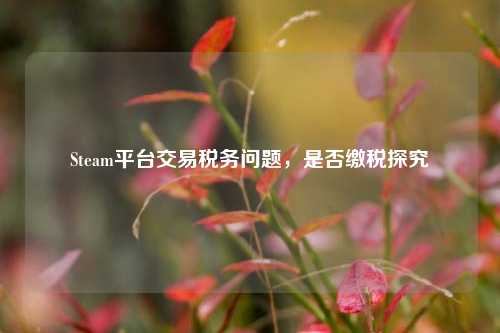 Steam平台交易税务问题,是否缴税探究