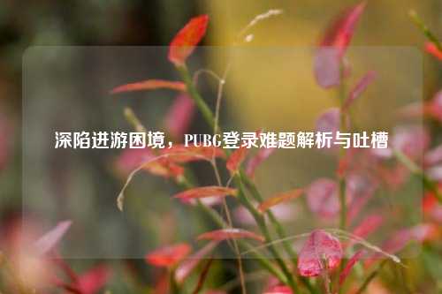 深陷进游困境，PUBG登录难题解析与吐槽