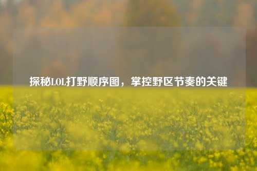 探秘LOL打野顺序图，掌控野区节奏的关键