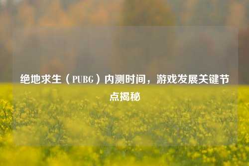 绝地求生(PUBG)内测时间,游戏发展关键节点揭秘