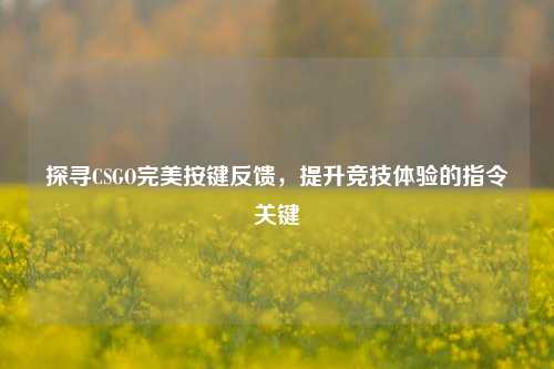 探寻CSGO完美按键反馈,提升竞技体验的指令关键