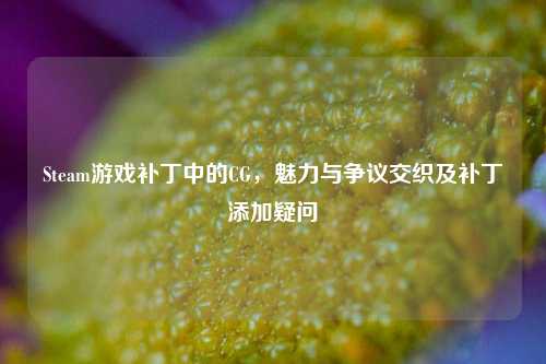 Steam游戏补丁中的CG，魅力与争议交织及补丁添加疑问