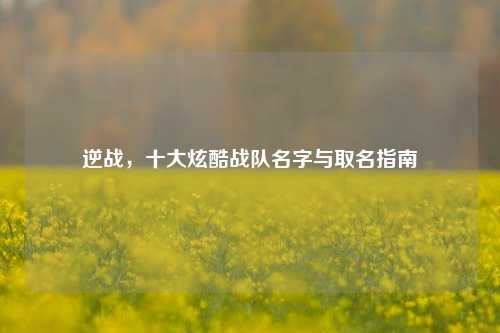 逆战,十大炫酷战队名字与取名指南
