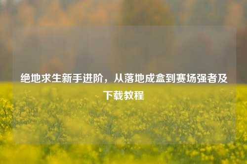 绝地求生新手进阶，从落地成盒到赛场强者及下载教程