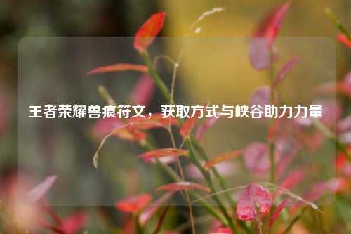 王者荣耀兽痕符文,获取方式与峡谷助力力量