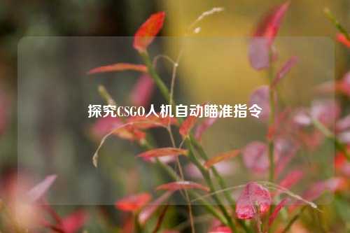 探究CSGO人机自动瞄准指令