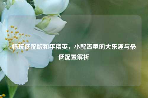 畅玩低配版和平精英，小配置里的大乐趣与最低配置解析